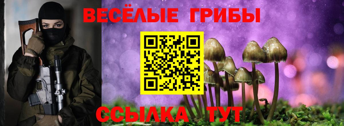 Донецк  Галлюциногенные грибы GOLDEN TEACHER  Псилоцибиновые грибы мухоморы  Вход с VPN 